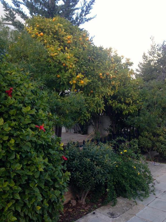 Paphos Studios 外观 照片